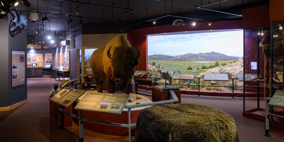 Wyoming State Museum - Cheyenne, WY 3 attractions, Cheyenne, I-80, Interstate 80, road trip planning, travel planning, trip planning, vacation planning, Wyoming, Wyoming attractions, Wyoming State Museum